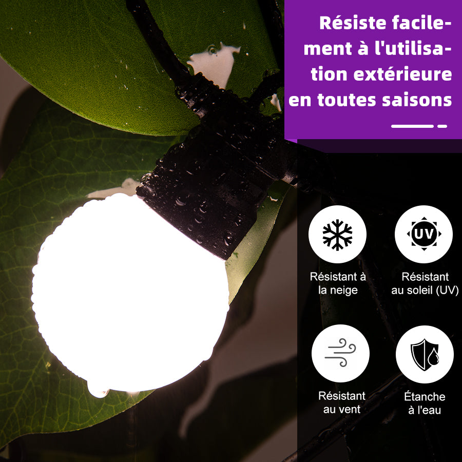 PURPLE LEAF Tonnelle de Jardin Avec Toit Rigide Double Toit de Bronze Pergola Aluminium, Avec Guirlande Lumineuse Blanc Lait