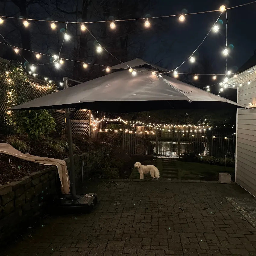 PURPLE LEAF Parasol Déporté avec Cadre Anthracite Inclinable à Rotation 360° avec Manivelle Parasol de Jardin Carré Rectangle