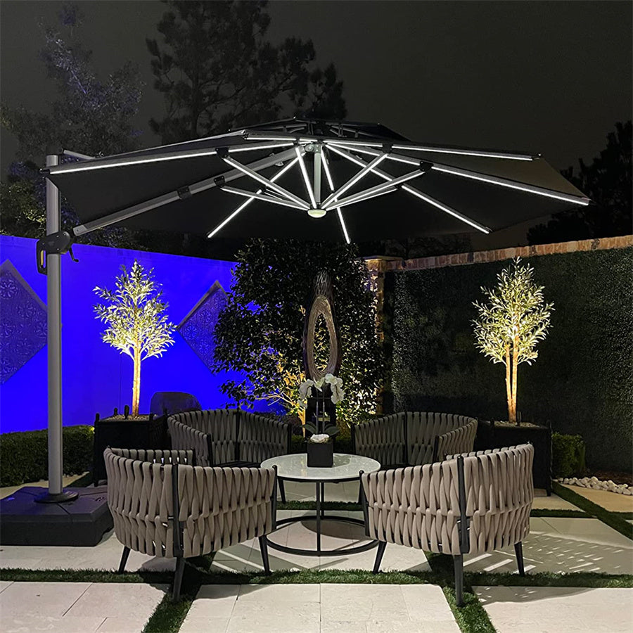 PURPLE LEAF Parasol De Jardin Extérieur Rond avec LED, Parasol Déporté avec Manivelle, Parasol Excentré Inclinable