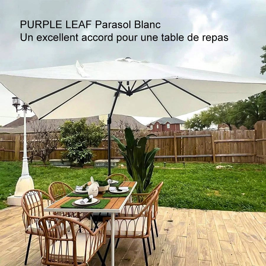 PURPLE LEAF Parasol De Jardin Exterieur Parasol Déporté Rotatif 360°, Parasol Excentré Inclinable, Parasol Suspendu Balcon