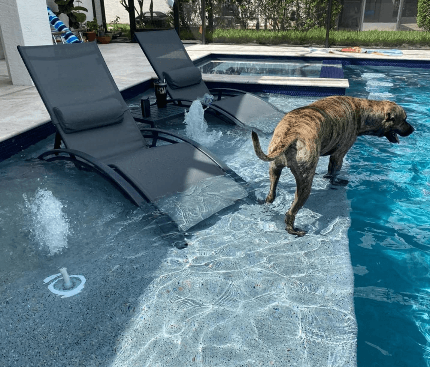 PURPLE LEAF Patio Chaise longue Ensemble de 3 Chaise longue d'extérieur Plage Piscine Bain de soleil Chaise longue inclinable, Table d'appoint incluse - Purpleaf France