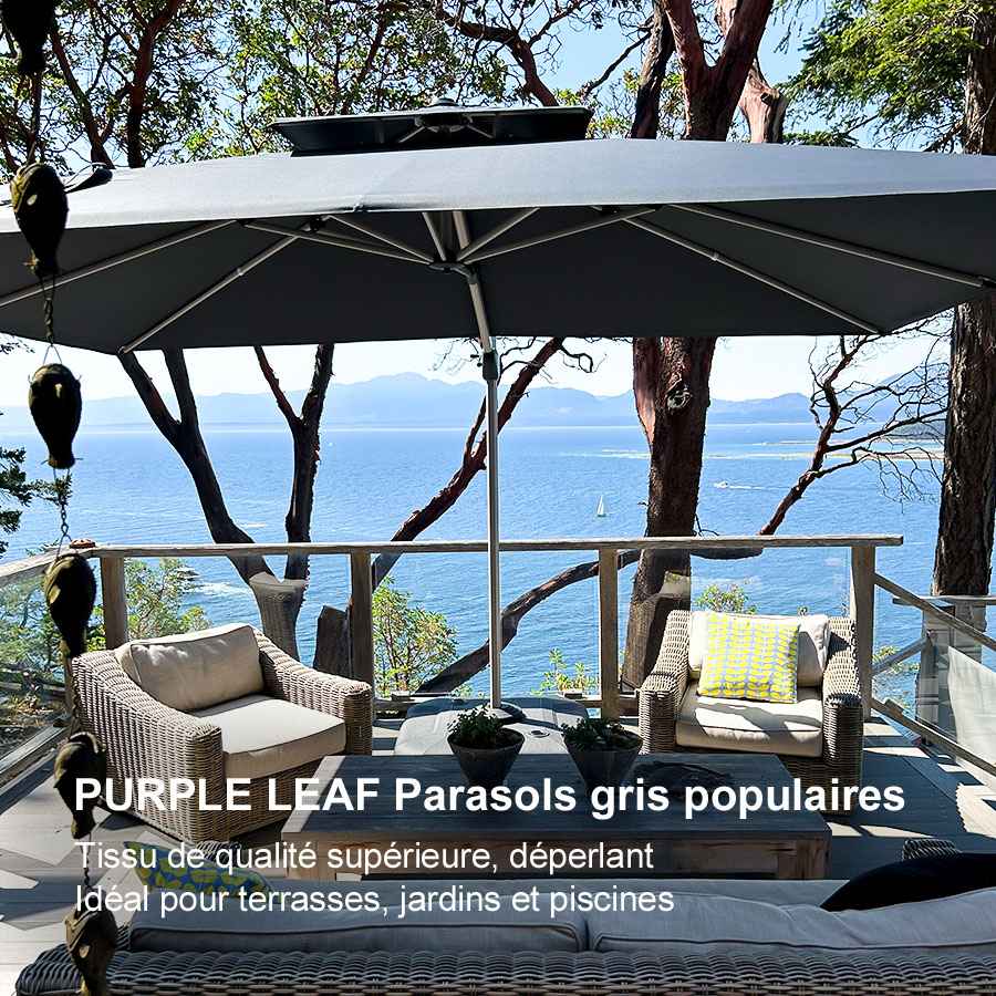 PURPLE LEAF Parasol Déporté Inclinable Rectangulaire, Parasol De Jardin Extérieur Toit à Double Rotatif 360°, Parasol Terrasse Extérieur