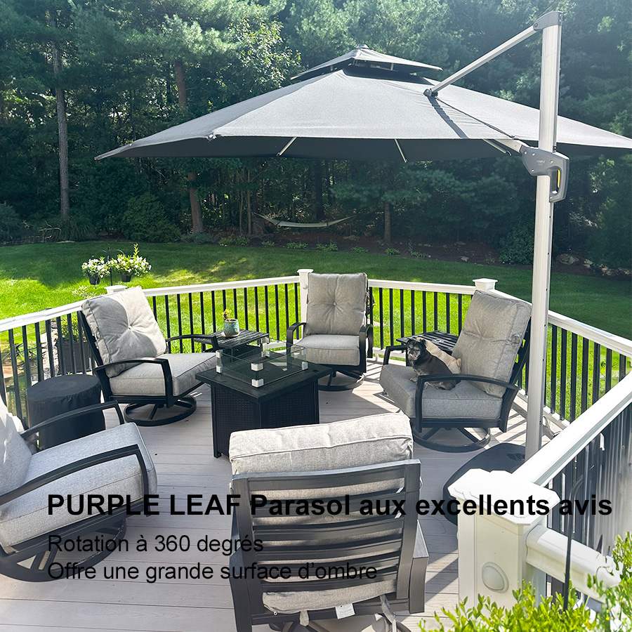 PURPLE LEAF Parasol Déporté Inclinable Rectangulaire, Parasol De Jardin Extérieur Toit à Double Rotatif 360°, Parasol Terrasse Extérieur