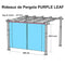 PURPLE LEAF Stores d'extérieur Rétractables pour Pergola, Pavillon et plus : Profitez de votre espace extérieur en toute tranquillité