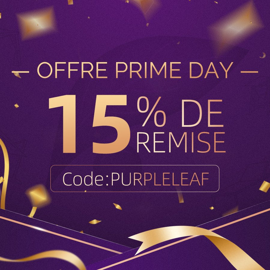 PURPLE LEAF Tonnelle de Jardin Pour Terrasse, Abris de Soleil Avec Toit Rigide en Acier Galvanisé, Equipée de Rideaux, Gris Clair