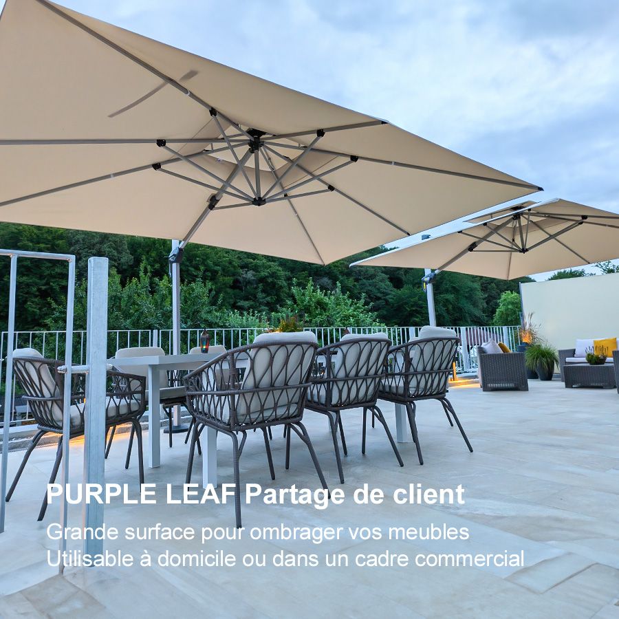 PURPLE LEAF Parasol Déporté Inclinable Rectangulaire, Parasol De Jardin Extérieur Toit à Double Rotatif 360°, Parasol Terrasse Extérieur