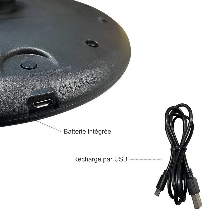 PURPLE LEAF Éclairage de Parasol, Lumière Vive avec 4 Modes et 12 Couleurs, Fonctionne sur Batterie et Rechargeable par USB, pour Jardin, Plage, Fête et Camping