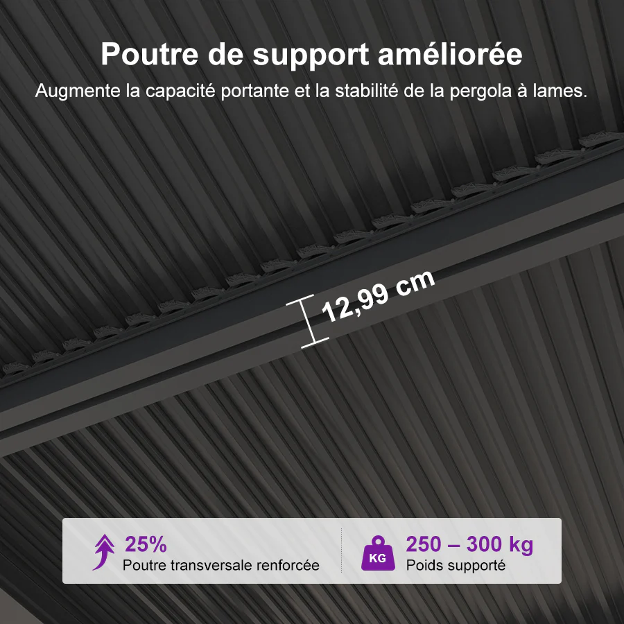 PURPLE LEAF Pergola Bioclimatique Alunimium Toit à Lames Orientables Réglables Tonnelle de Jardin Autoportante avec Stores Enrouleurs Pavillon de Jardin Hardtop Imperméable Abri Terrasse Anthracite