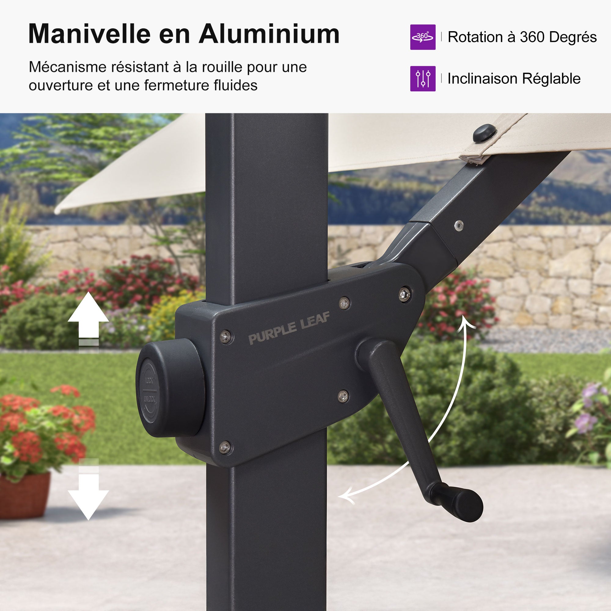 PURPLE LEAF Parasol déporté à inclinaison progressive - Parasol de Terrasse Abordable