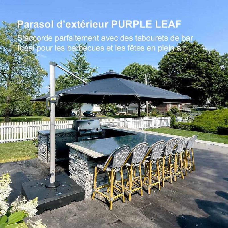 PURPLE LEAF Parasol Déporté Inclinable Rectangulaire, Parasol De Jardin Extérieur Toit à Double Rotatif 360°, Parasol Terrasse Extérieur