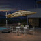 PURPLE LEAF Parasol De Jardin Extérieur Rond avec LED, Parasol Déporté avec Manivelle, Parasol Excentré Inclinable